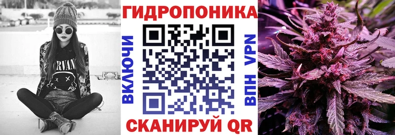 Марихуана сатива Камызяк